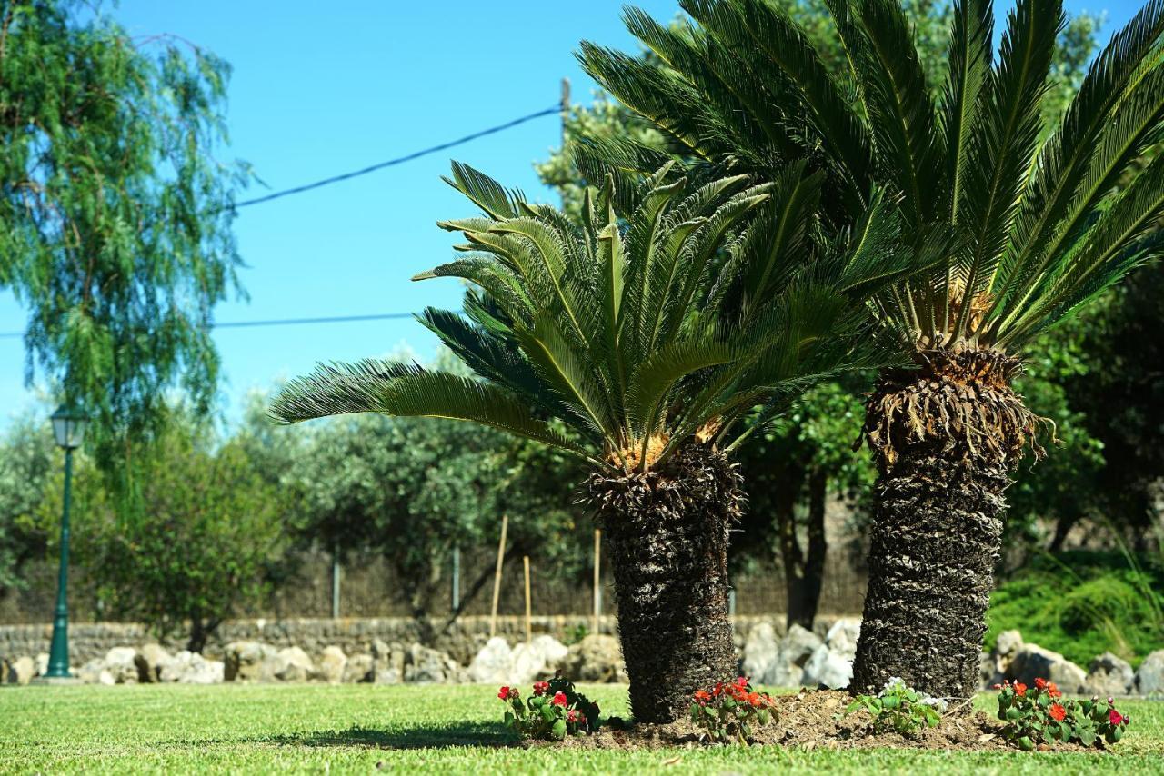 Can Seguinot Pollenca Ngoại thất bức ảnh